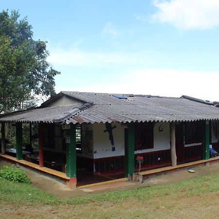 Alojamiento Rural Café Yarumo Buenavista  Esterno foto
