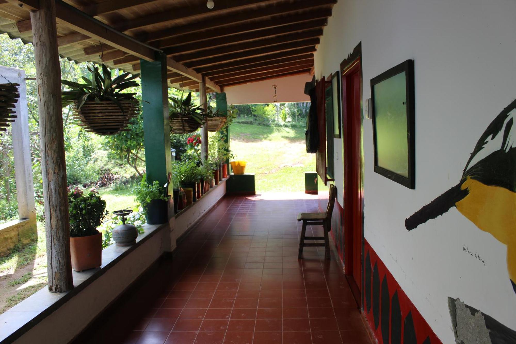 Alojamiento Rural Café Yarumo Buenavista  Esterno foto